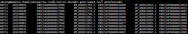 NCBI的基因entrez ID相关文件介绍