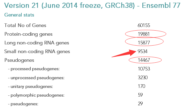 基因组标准注释文件-Gencode数据库