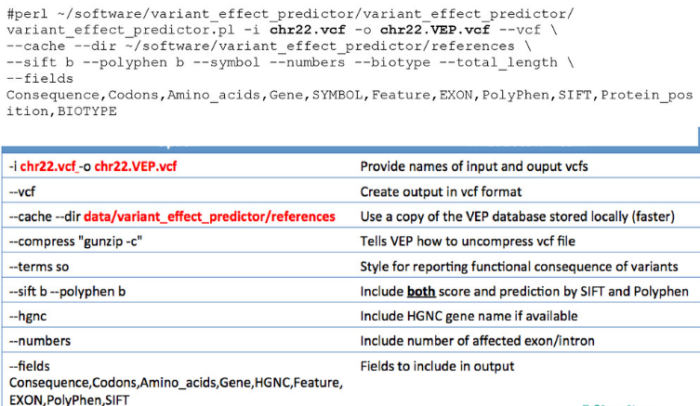 用VEP对vcf格式的突变数据进行注释