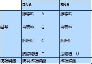 遗传信息载体—DNA