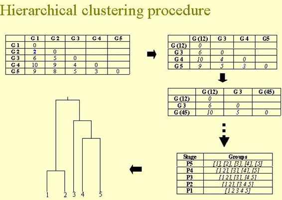 基因芯片数据分析中的标准化算法和聚类算法