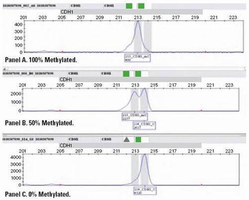 CpG岛甲基化图谱分析的三种优化流程