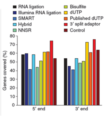 Strand Specific mRNA sequencing 之重要性与分析