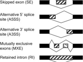 RNASeq-MATS:Multivariate Analysis of Transcript Splicing