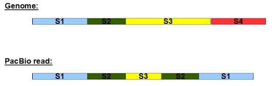 Pacific Bio用于基因组组装-图片2