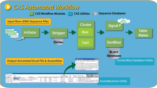 dCAS:Desktop cDNA Annotation System