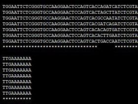基于NGS的miRNA测序以及接头序列介绍