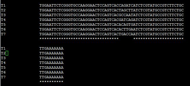 基于NGS的miRNA测序以及接头序列介绍