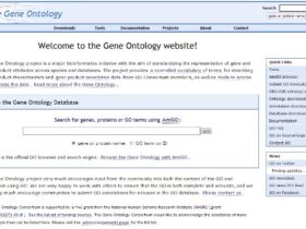 Gene Ontology(GO)简介与使用介绍