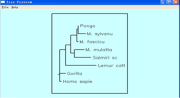 多重序列比对及系统发生树的构建