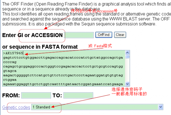 基因预测软件ORF Finder使用说明