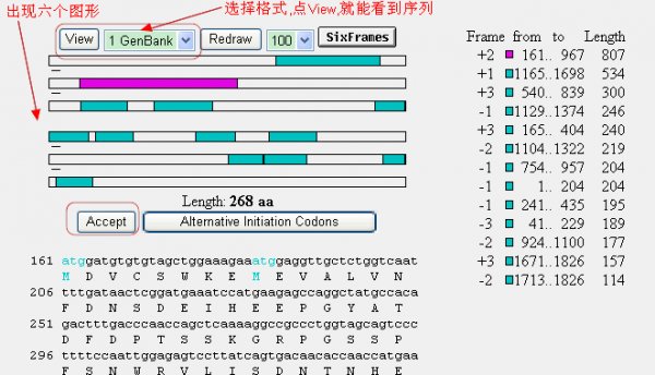 基因预测软件ORF Finder使用说明