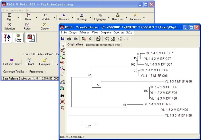 MEGA软件——系统发育树构建方法（图文讲解）