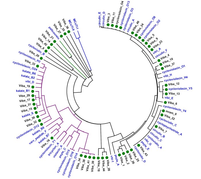 转录组测序鉴定重金属植物宝山堇菜的CRPs | Public Library of Bioinformatics