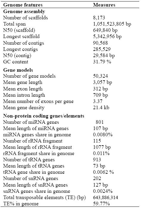 PNAS:花生A基因组测序成果揭示其地下繁殖、产油代谢等独特性状的遗传机制