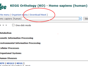 下载最新版的KEGG信息
