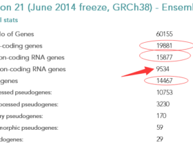 基因组标准注释文件-Gencode数据库