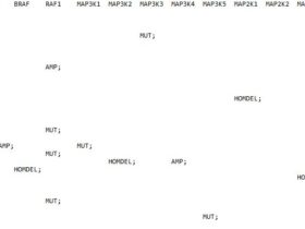 ComplexHeatmap绘制全基因组突变景观图