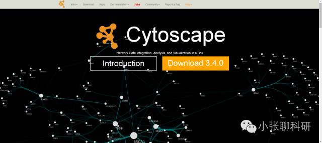 Cytoscape作图介绍-图片1
