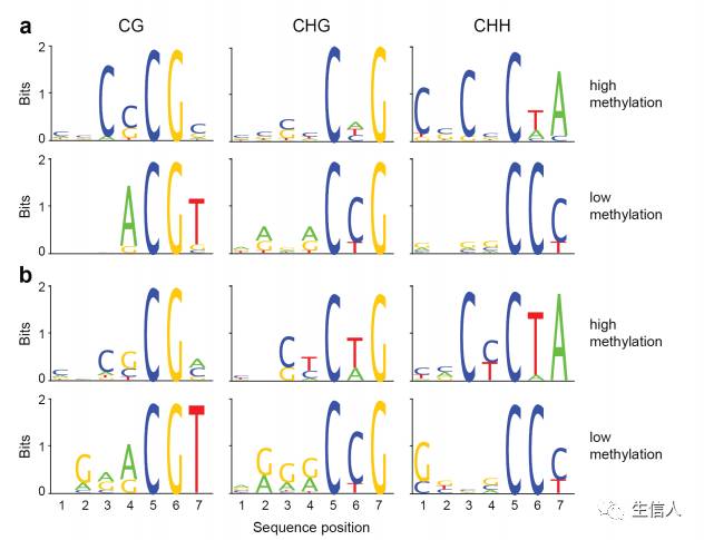 DNA甲基化测序方法介绍-图片2