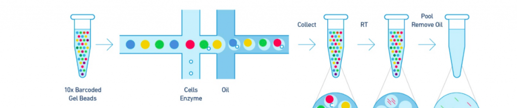 单细胞RNA测序方案比较