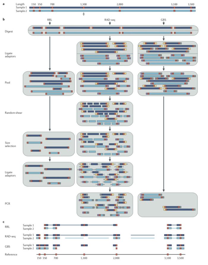 简化基因组数据分析实战-图片6