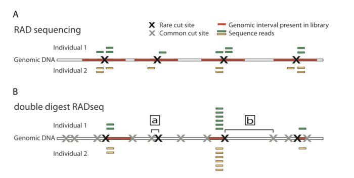 简化基因组数据分析实战-图片5