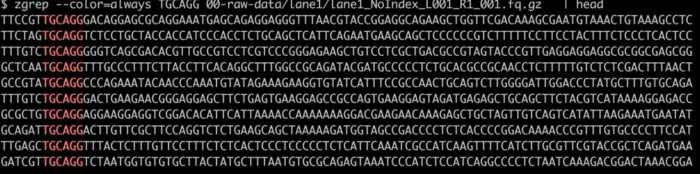 简化基因组数据分析实战