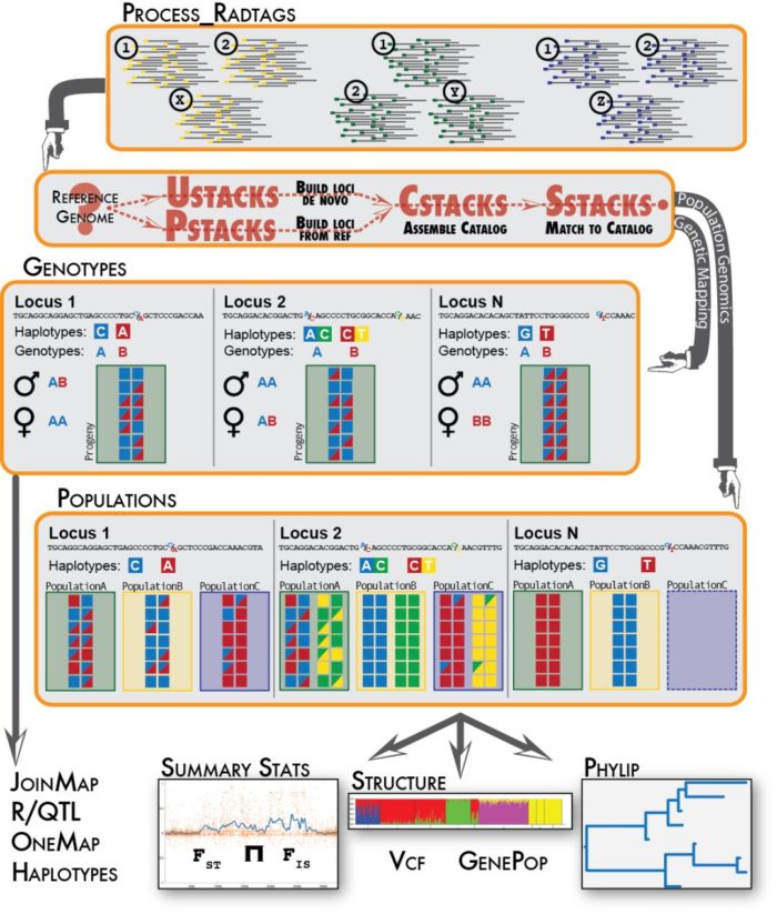 简化基因组数据分析实战-图片12