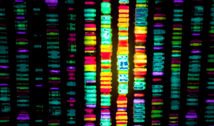 从零开始完整学习全基因组测序（WGS）数据分析：第1节 测序技术