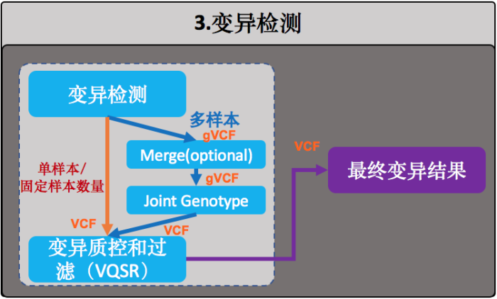 从零开始完整学习全基因组测序（WGS）数据分析：第4节 构建WGS主流程