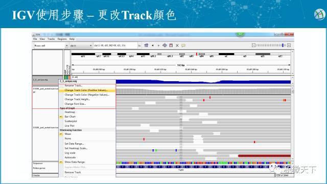 IGV基因组浏览器可视化高通量测序数据