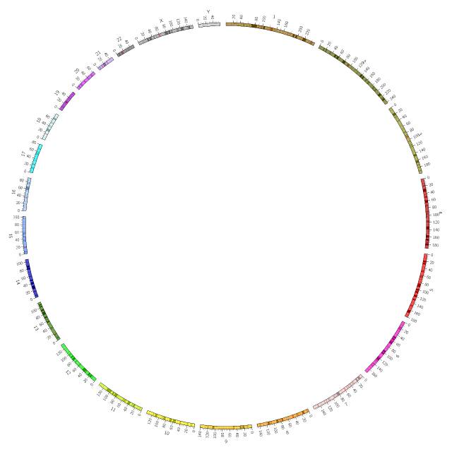 CIRCOS圈图绘制 – 染色体信息展示和调整