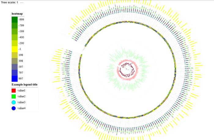 用iTOL轻松绘制高颜值系统进化树