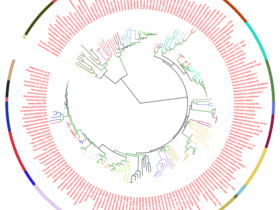 进化树 | Public Library of Bioinformatics