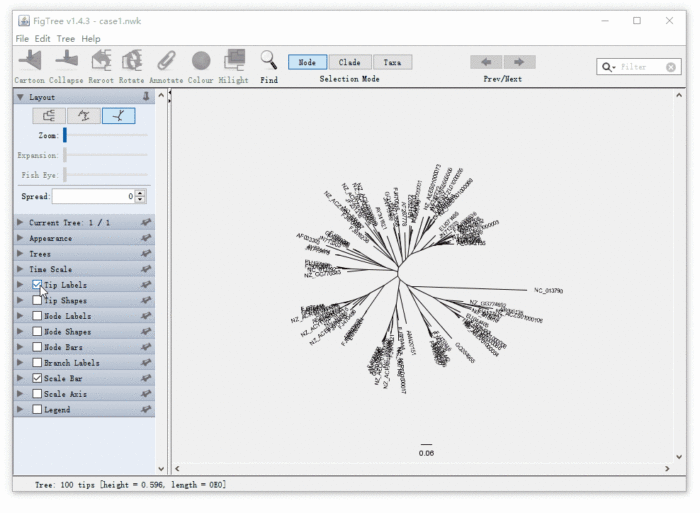 如何绘制“松针”状的进化树