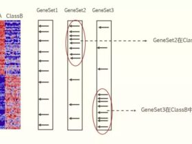 GSEA法基因功能富集分析原理详解