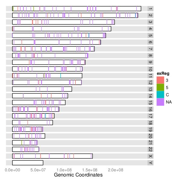 RIdeogram：画染色体图