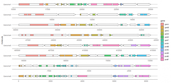 gggenes绘制多物种基因结构比较