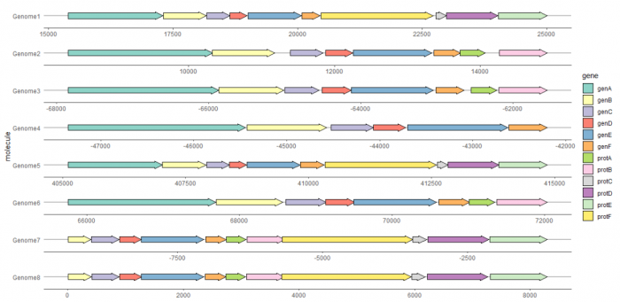 gggenes绘制多物种基因结构比较-图片4