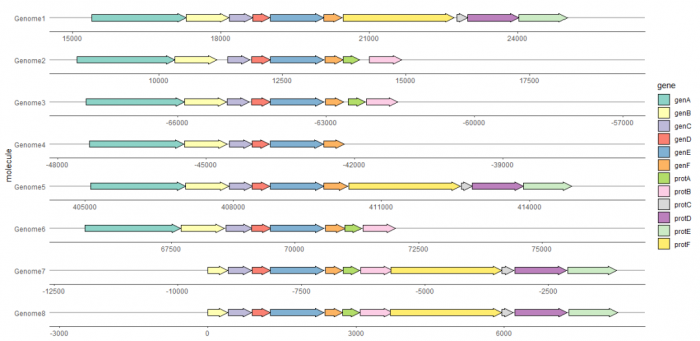 gggenes绘制多物种基因结构比较-图片5