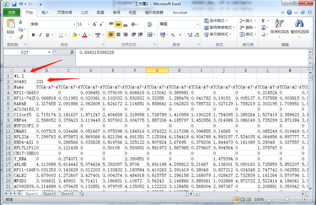 GSEA-基因富集分析 | Public Library of Bioinformatics
