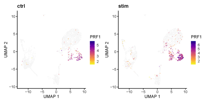 Liger单细胞多组学分析：整合单细胞RNA-seq数据集