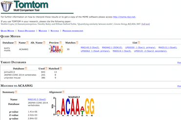 ATAC-Seq分析教程：用网页版工具做功能分析和motif分析