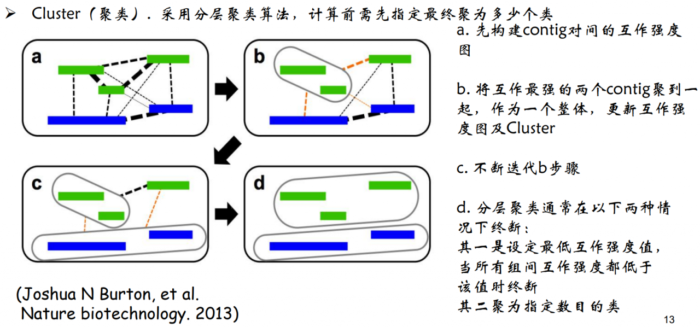 三维基因组技术（二）：Hi-C辅助组装与Lachesis的使用