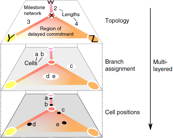 单细胞转录组数据轨迹预测方法的比较