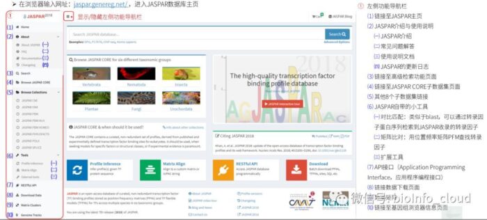 转录因子预测数据库JASPAR使用教程