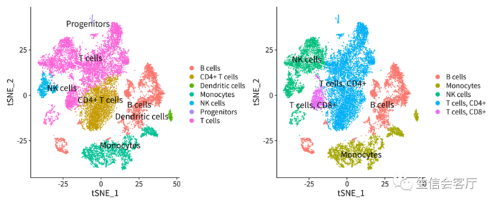 单细胞转录组分析：多样本合并与批次校正