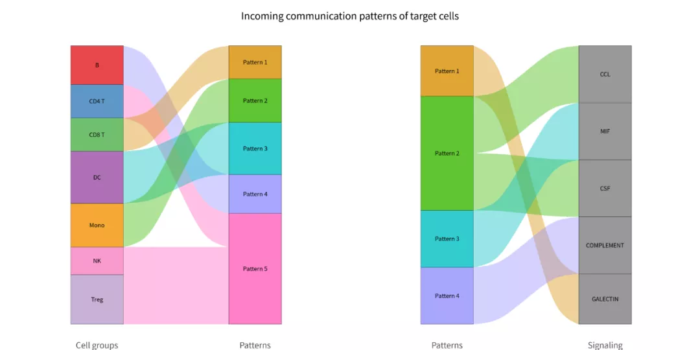 单细胞分析之CellChat-图片7