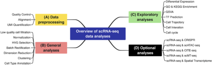 scRNA-seq单细胞转录组数据分析流程-图片2